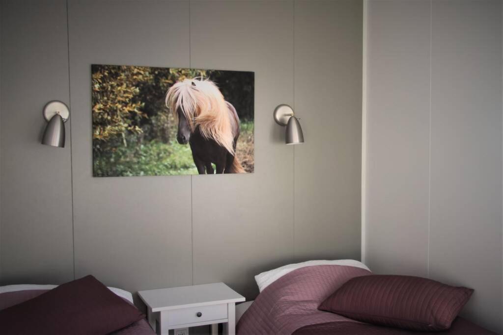 Strýta Apartment 3 Olfus Exteriér fotografie